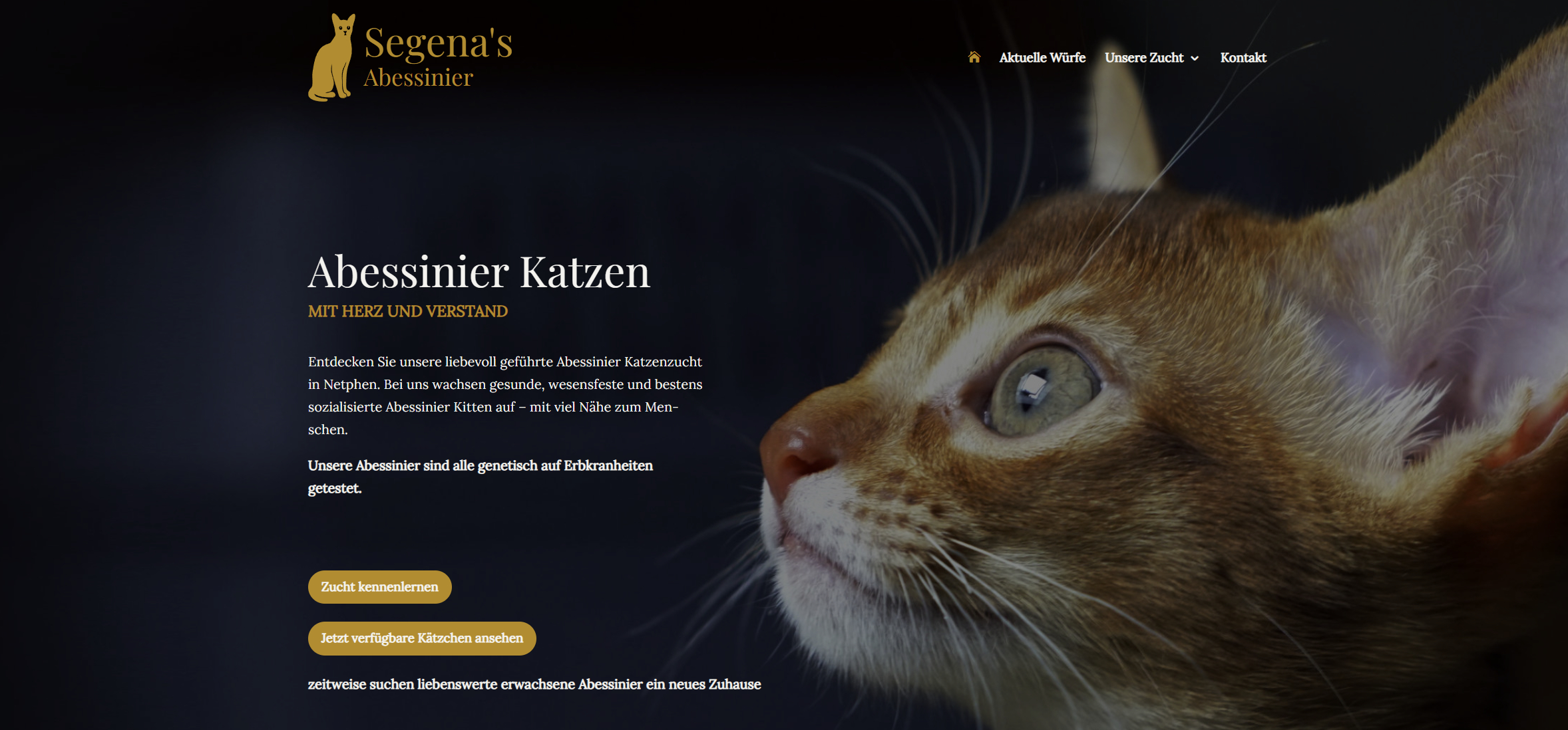 Website Segena's Abessinier Katzen