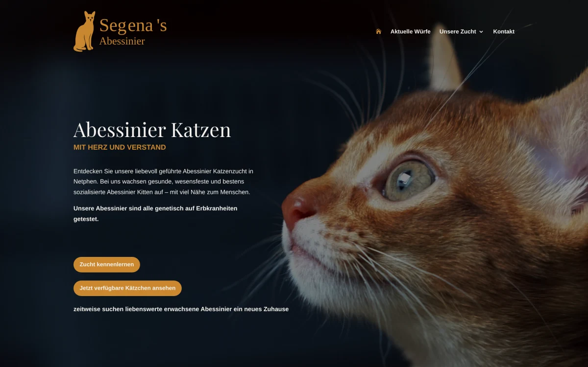 Website-Ansicht: Segena’s Abessinier